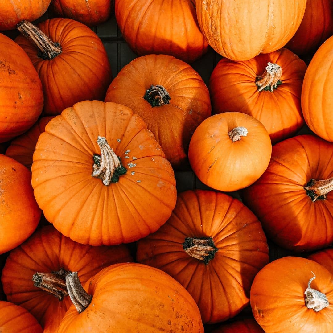 6 astuces pour conserver votre citrouille plus longtemps Coup de Pouce