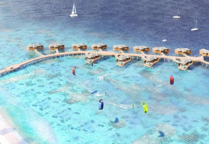 Princess Senses The Mangrove