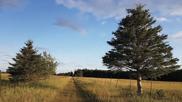 Monastère Notre-Dame-de-Mistassini