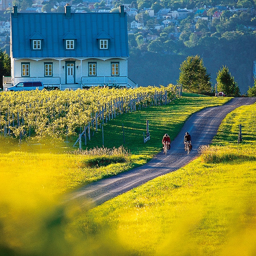 9 arrêts à faire durant votre tour de l'Île d'Orléans à vélo Coup de