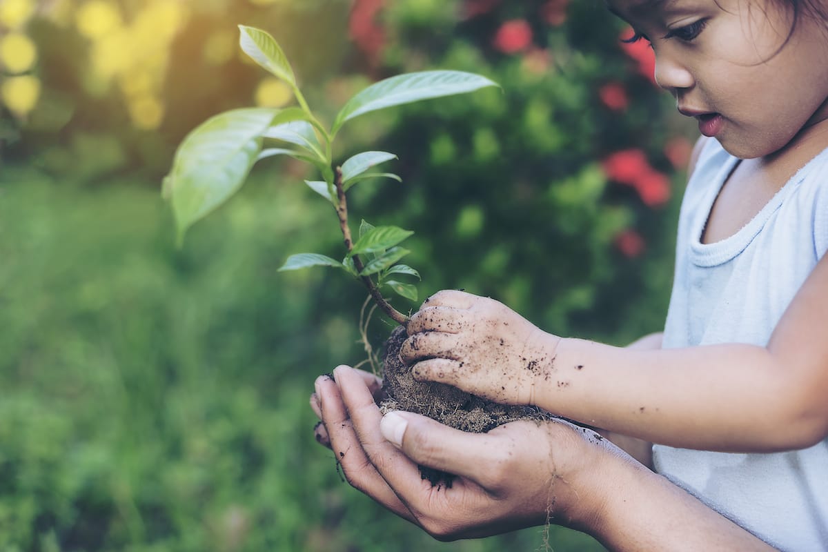 Véganisme - réduire notre empreinte environnementale