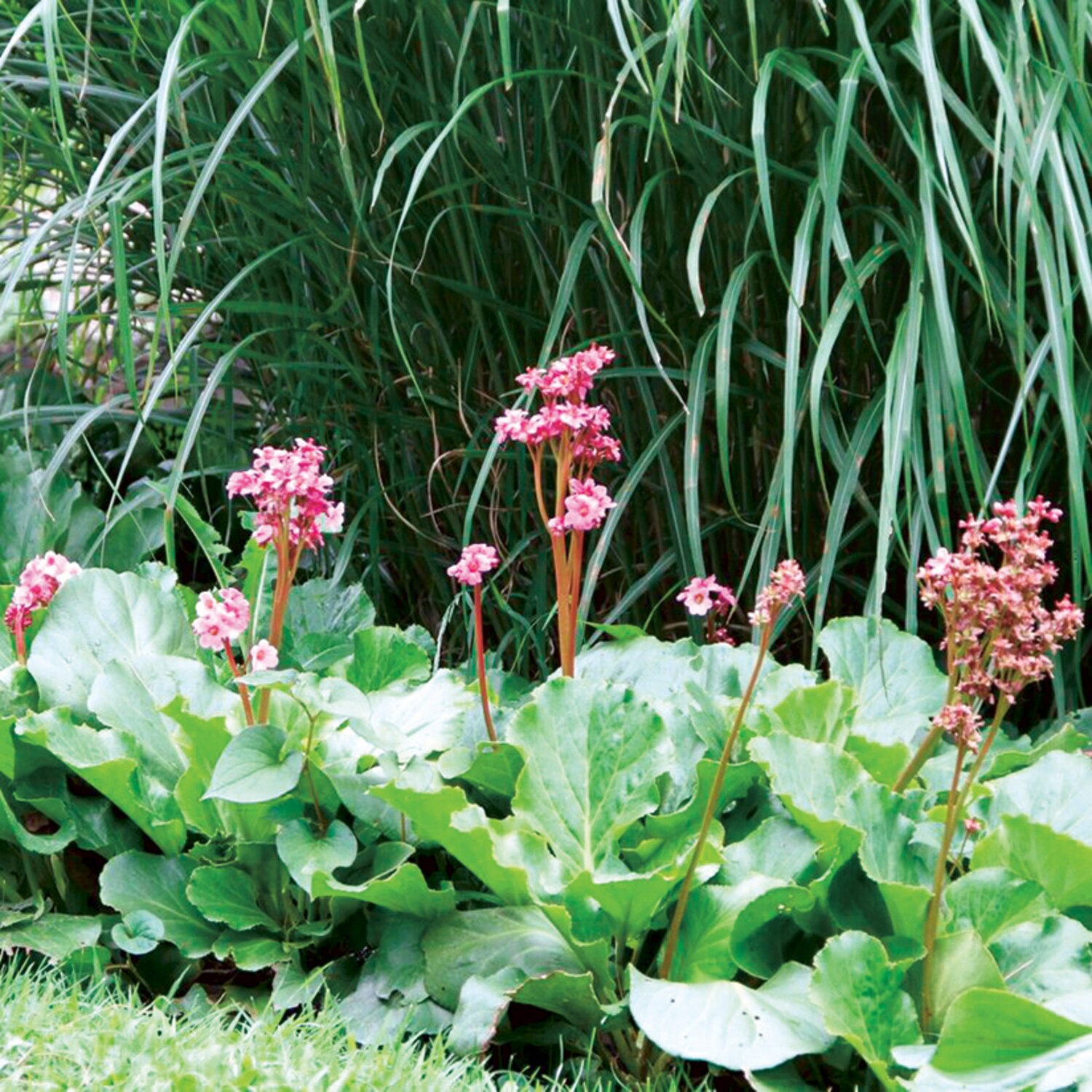 Écran De Soudure Hobart N°11 (2" X 4-1/4") - Modèle Weld-It Ombragé, Lot De 2 Pièces, Référence 770008