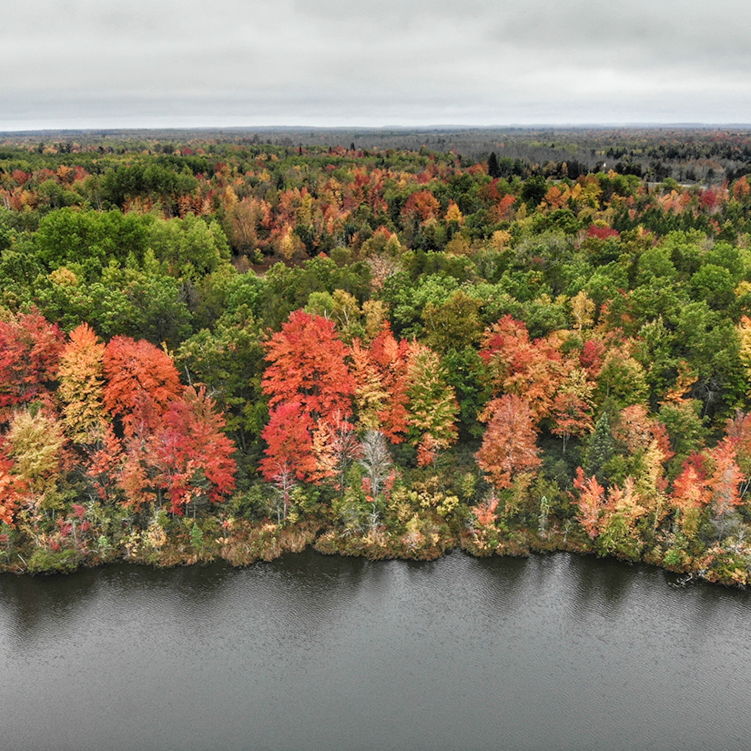 Une carte des couleurs pour préparer vos randonnées d’automne Coup de Pouce Une carte des couleurs pour préparer vos randonnées d’automne Coup de Pouce