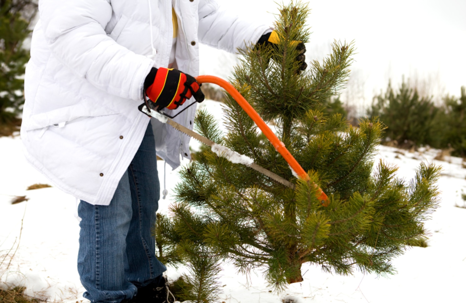 Comment Faire Des Savonnettes Maison