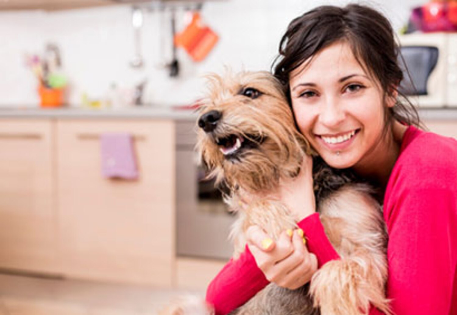 Mon Chien Est Insupportable Avec Les Invités Pourquoi mon chien saute-t-il toujours sur les invités? | Coup de Pouce
