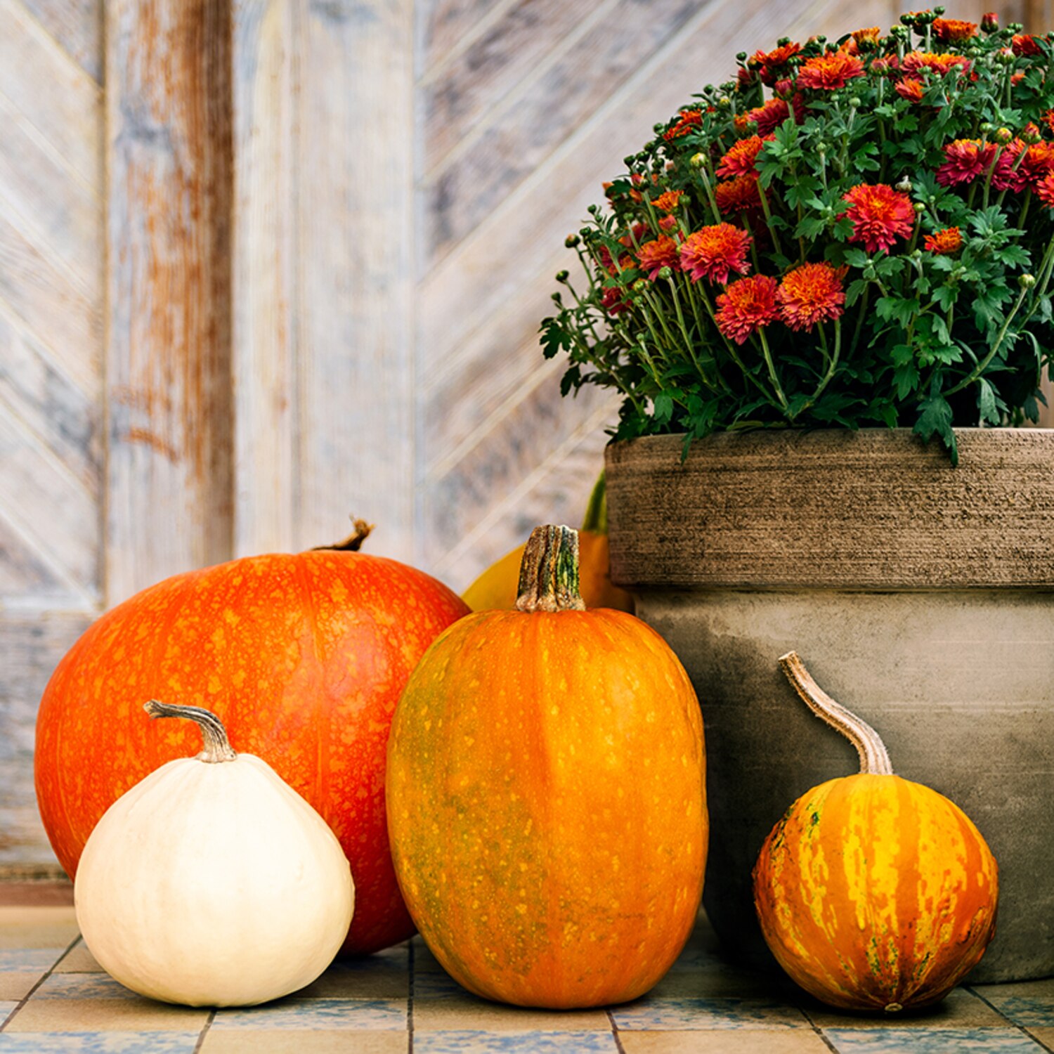 6 astuces pour conserver votre citrouille plus longtemps Coup de Pouce