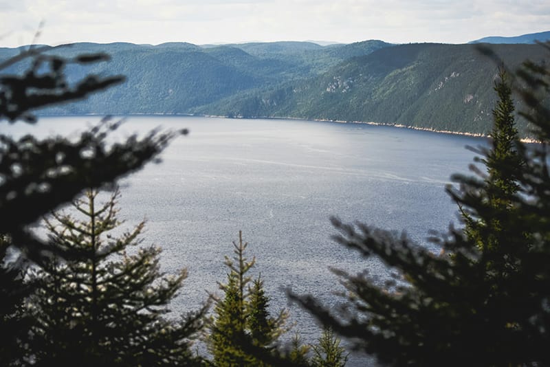 Parc marin du Saguenay-Saint-Laurent