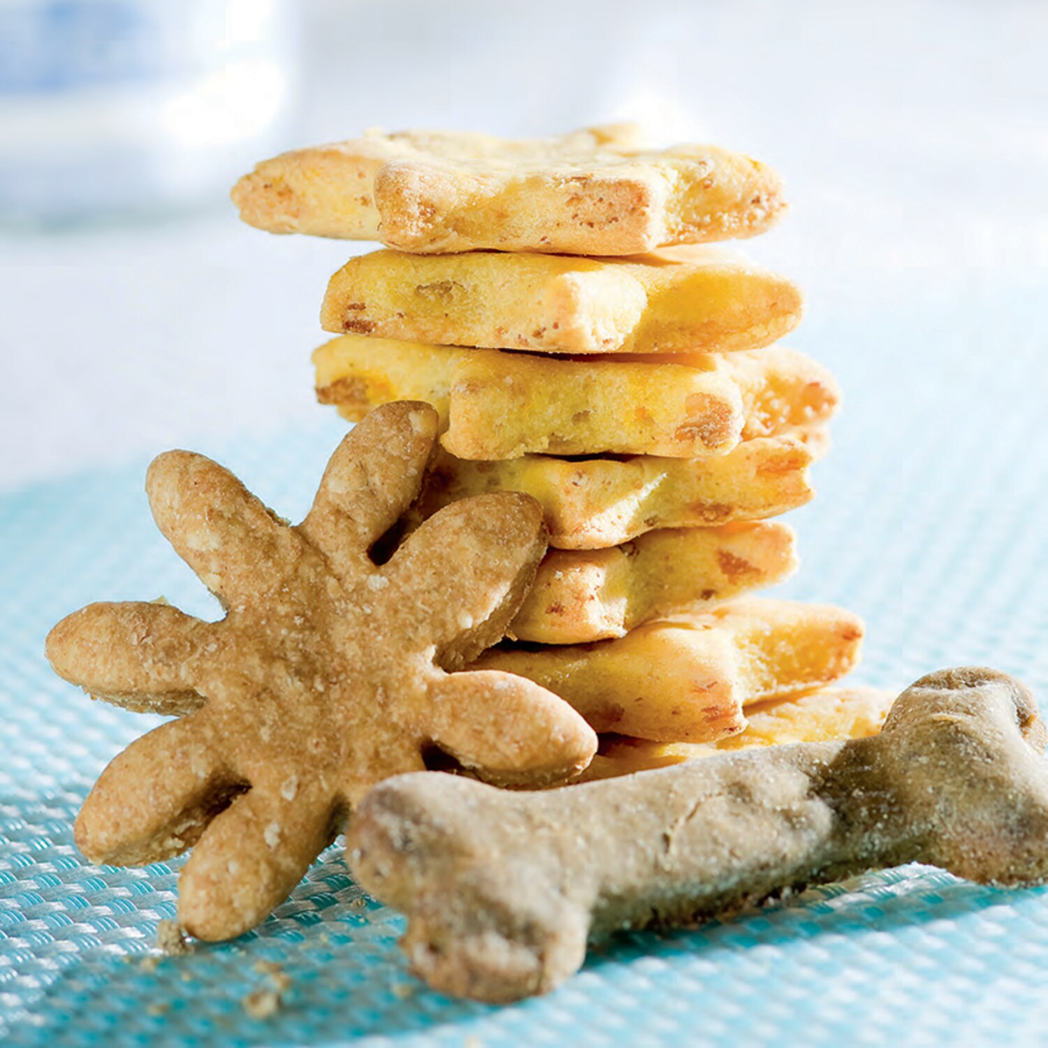 3 recettes de biscuits pour chien à faire soimême Coup de Pouce