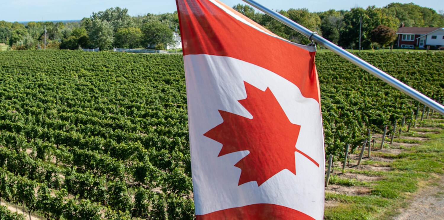 AllFemale Winemaking Team Creates World Class Canadian Wine Canadian