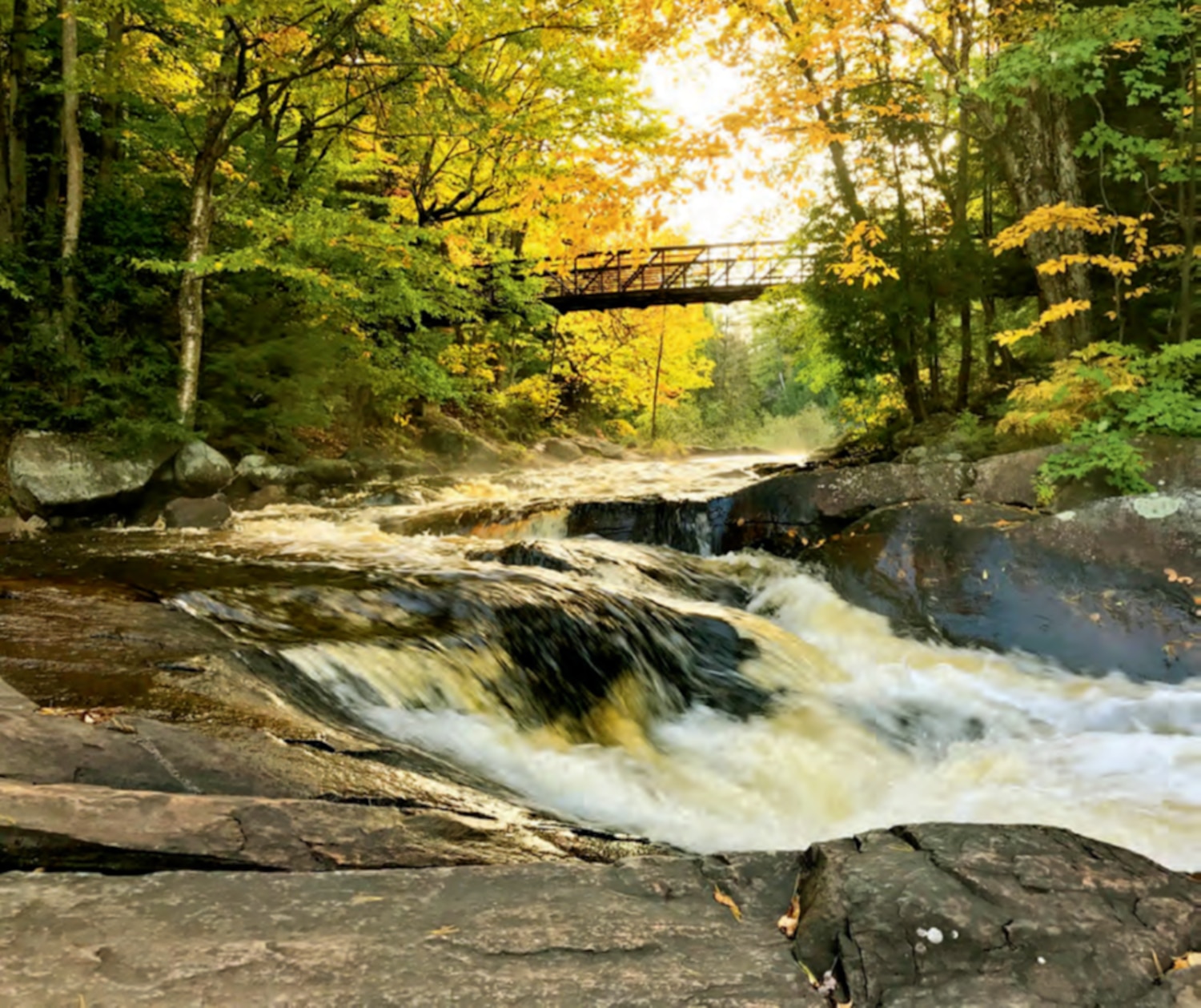 11 Perfect Ontario Parks | Canadian Living
