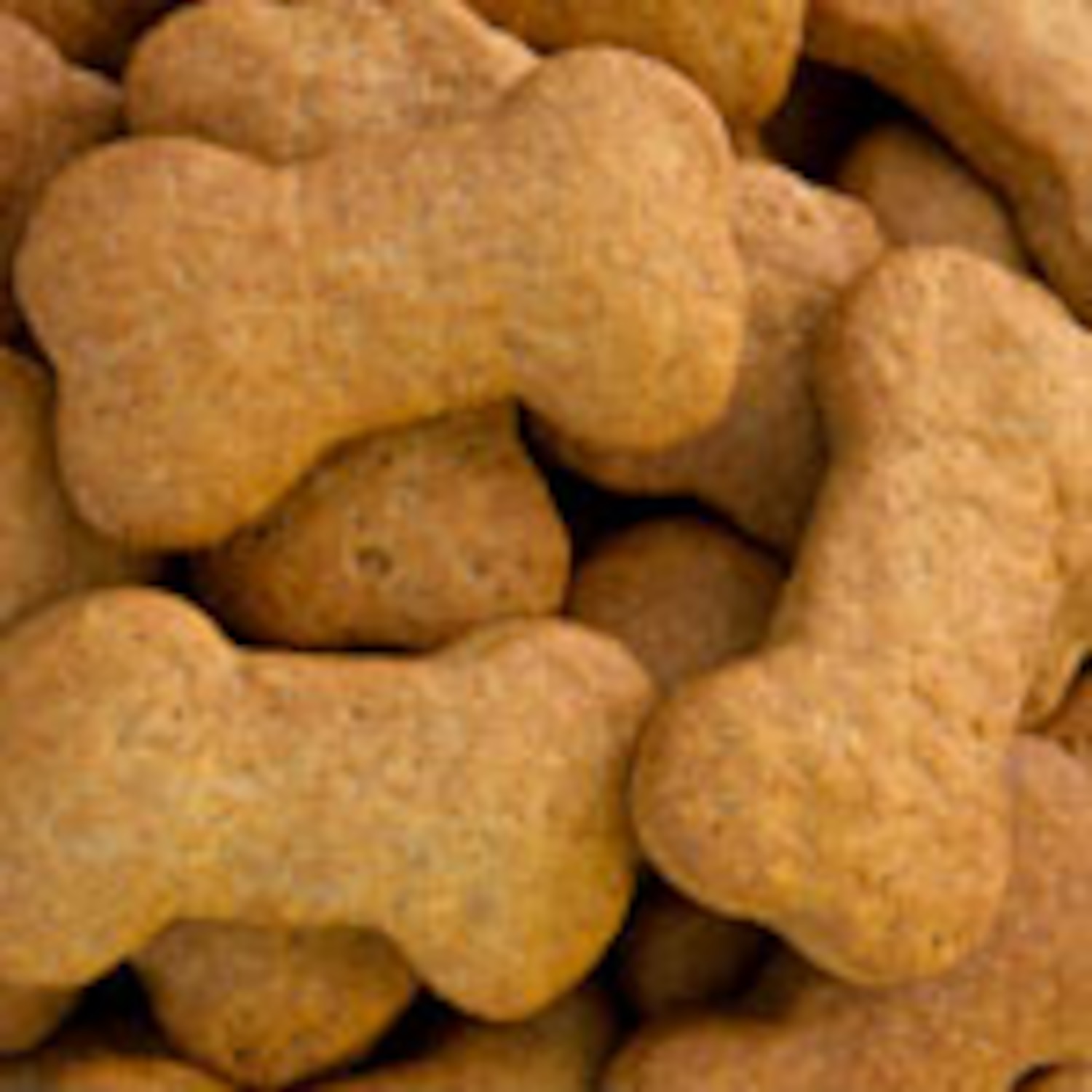 Dog Biscuits | Canadian Living