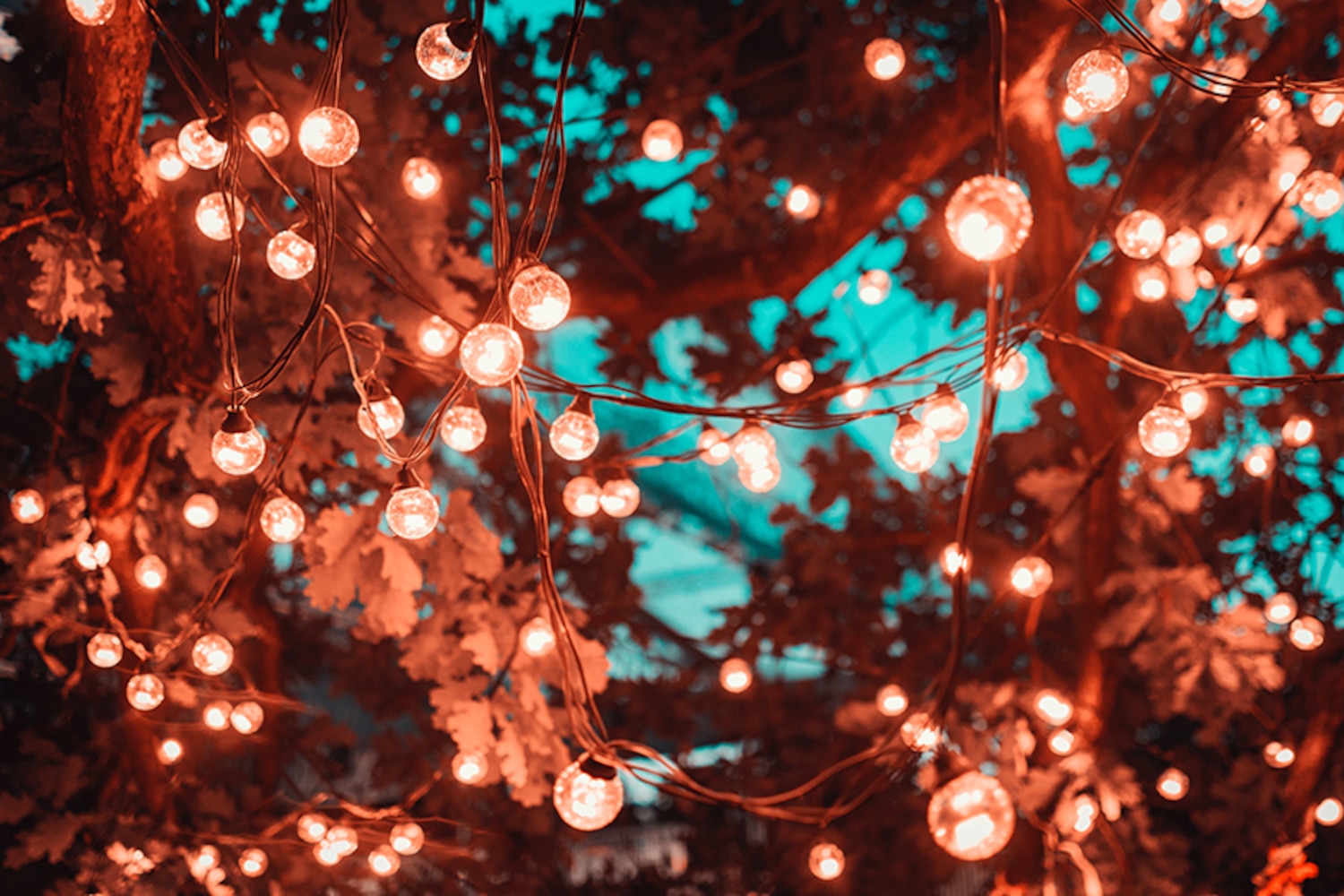 Outdoor Christmas lights 5 rules for lighting your home for the