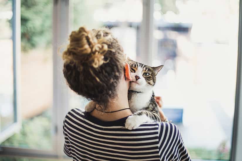 How to identify your pet's emotions | Canadian Living - Actions Quickly Calming Emotional Pet