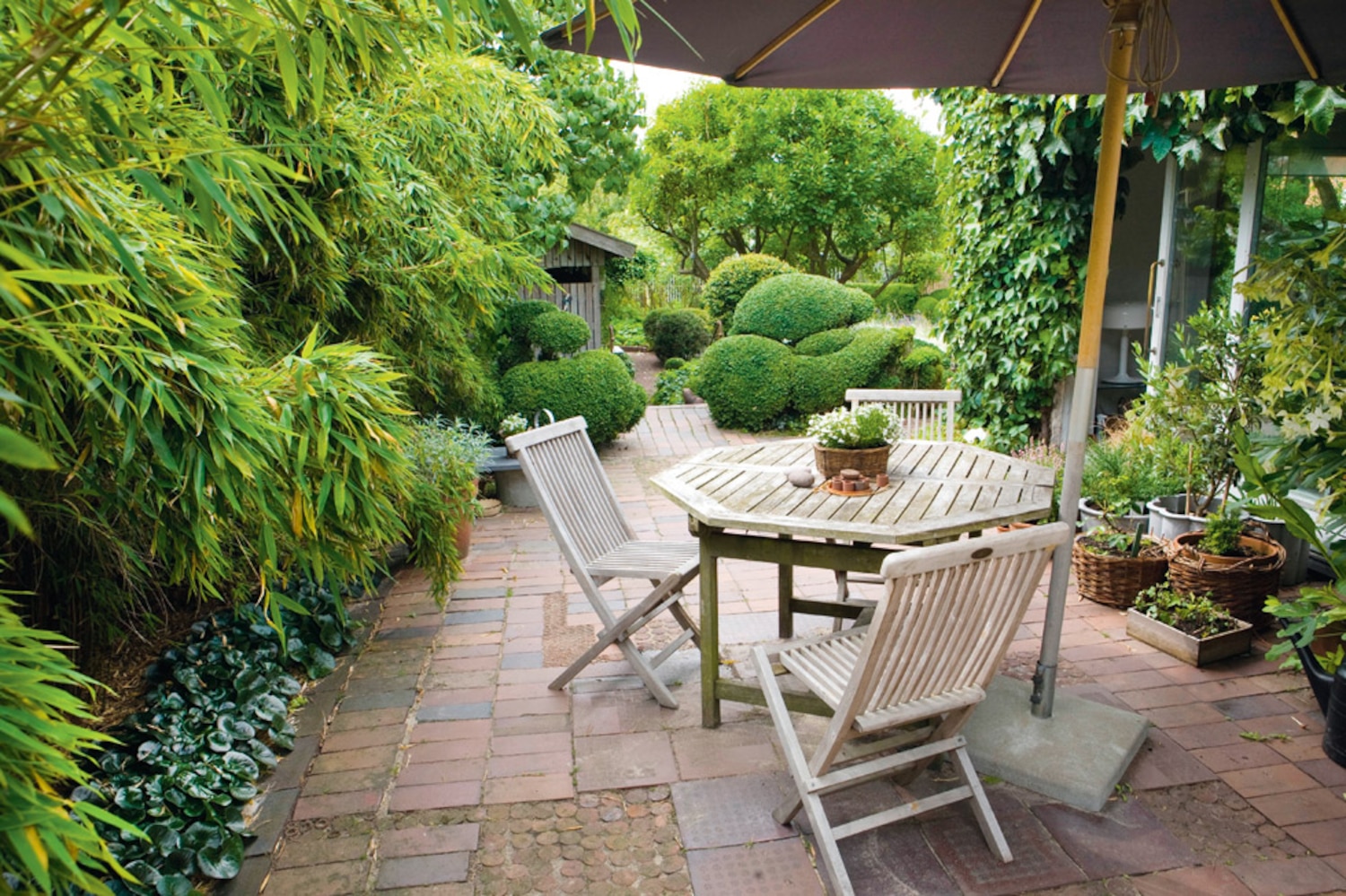 Design dilemma How to freshen up teak patio furniture Canadian Living