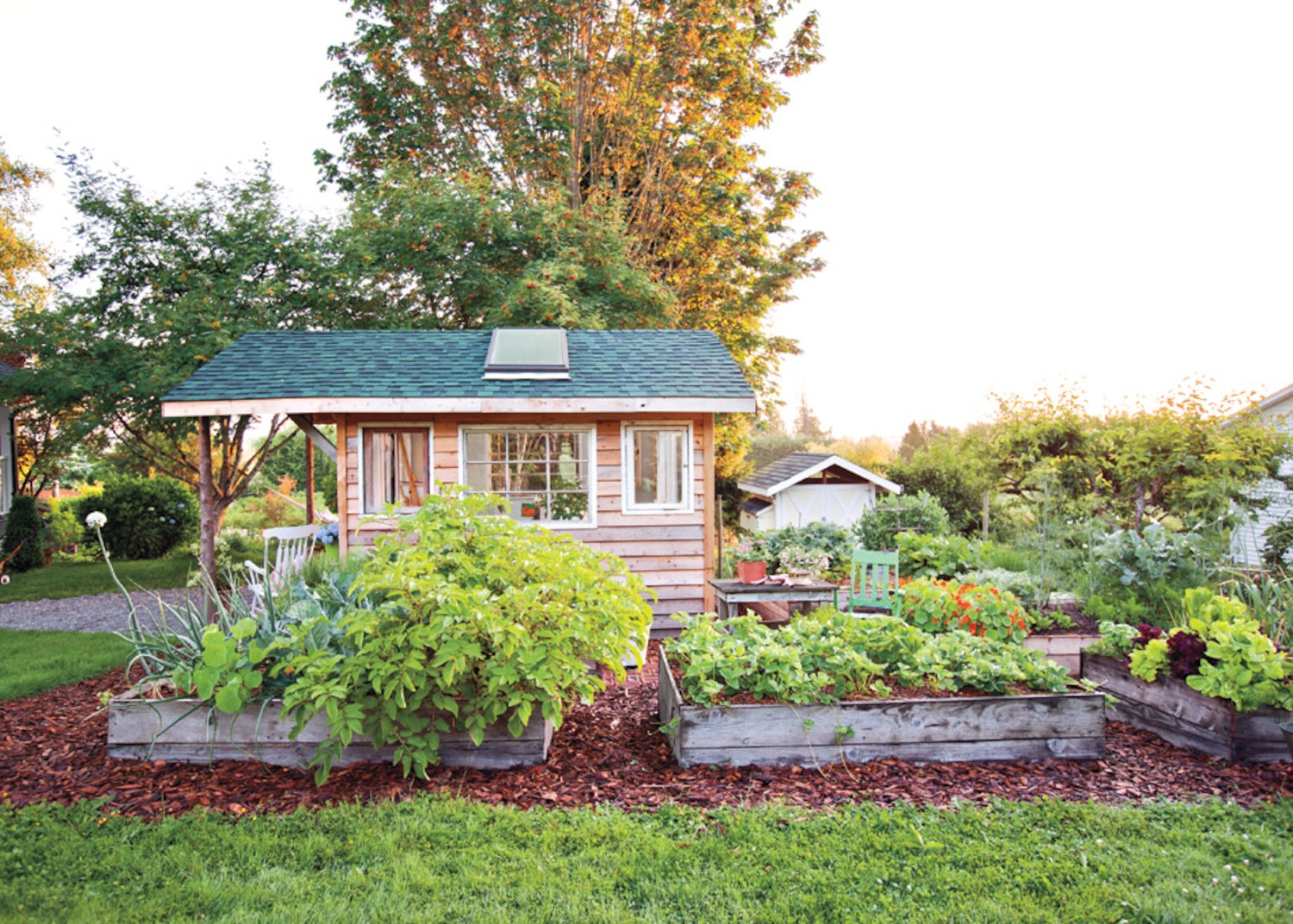How to create a vegetable garden in your backyard | Canadian Living