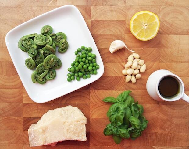 FIddlehead crostini recipe