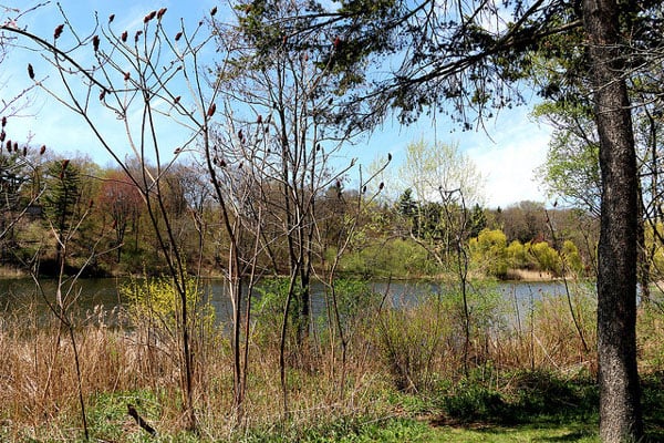 high park toronto