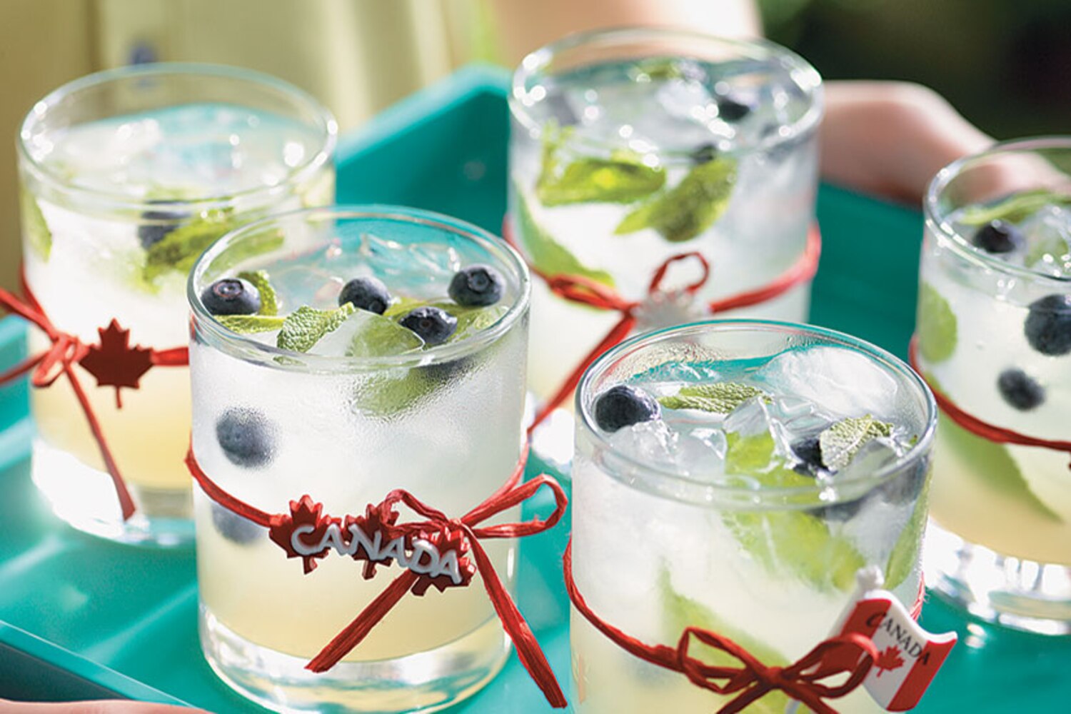 Canadian Mojito | Canadian Living