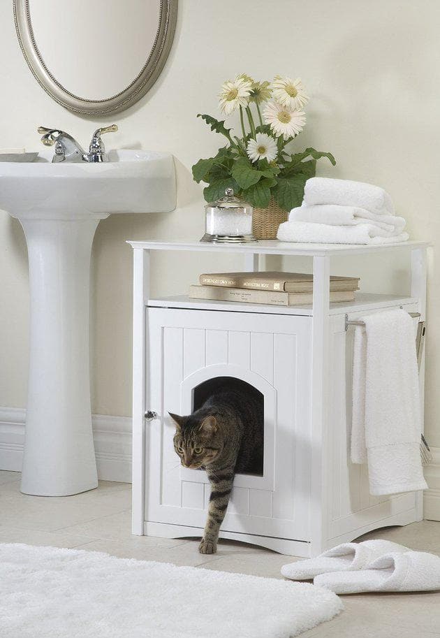10 clever ways to hide your cat's litter box Canadian Living