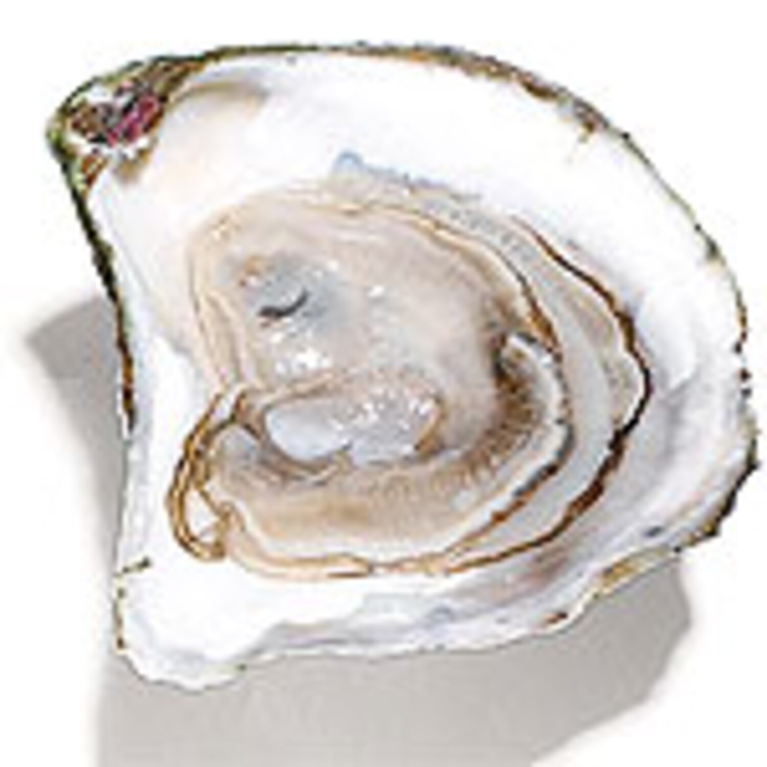 Discover oysters Canadian Living