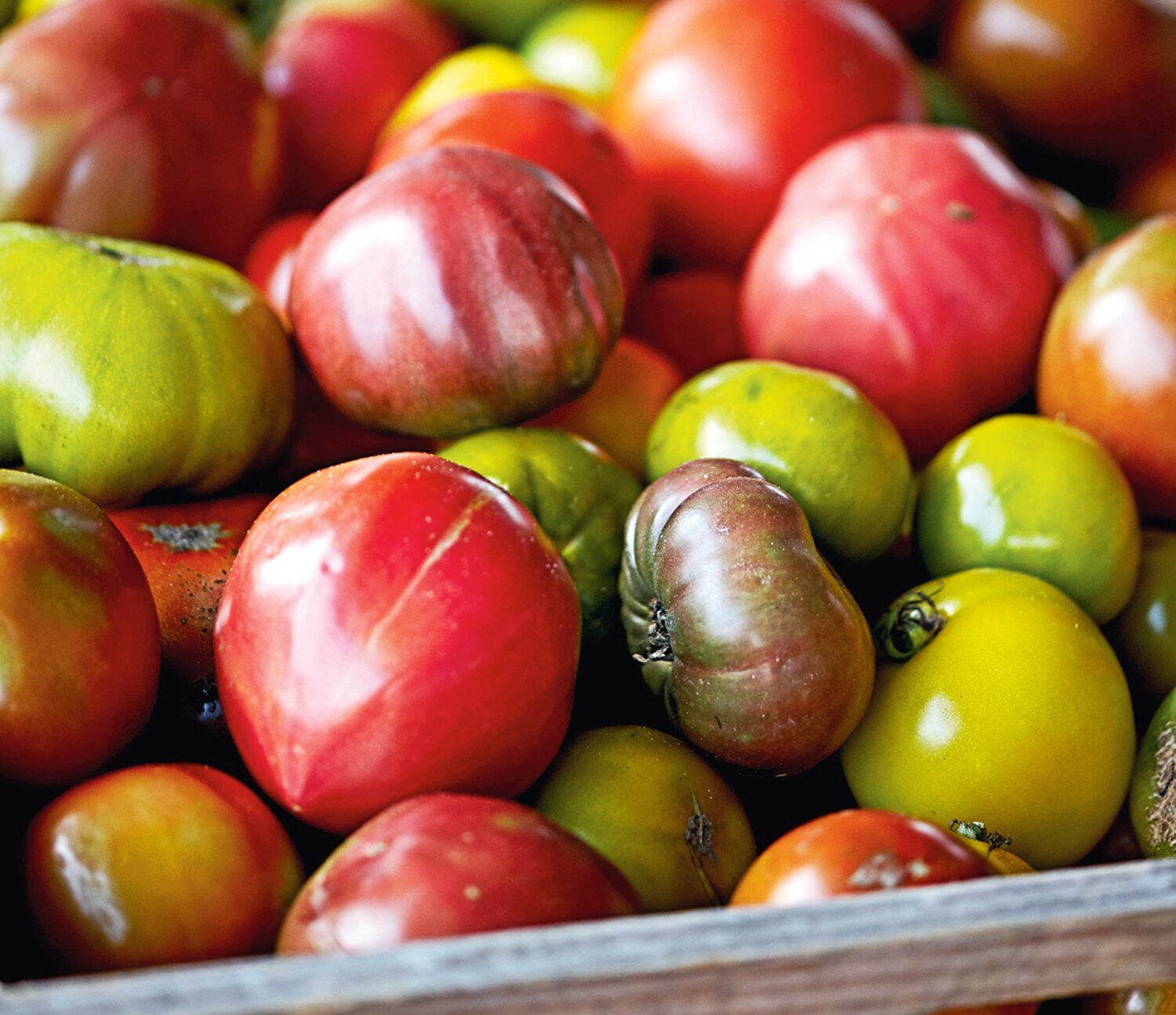 What are heirloom tomatoes? Canadian Living