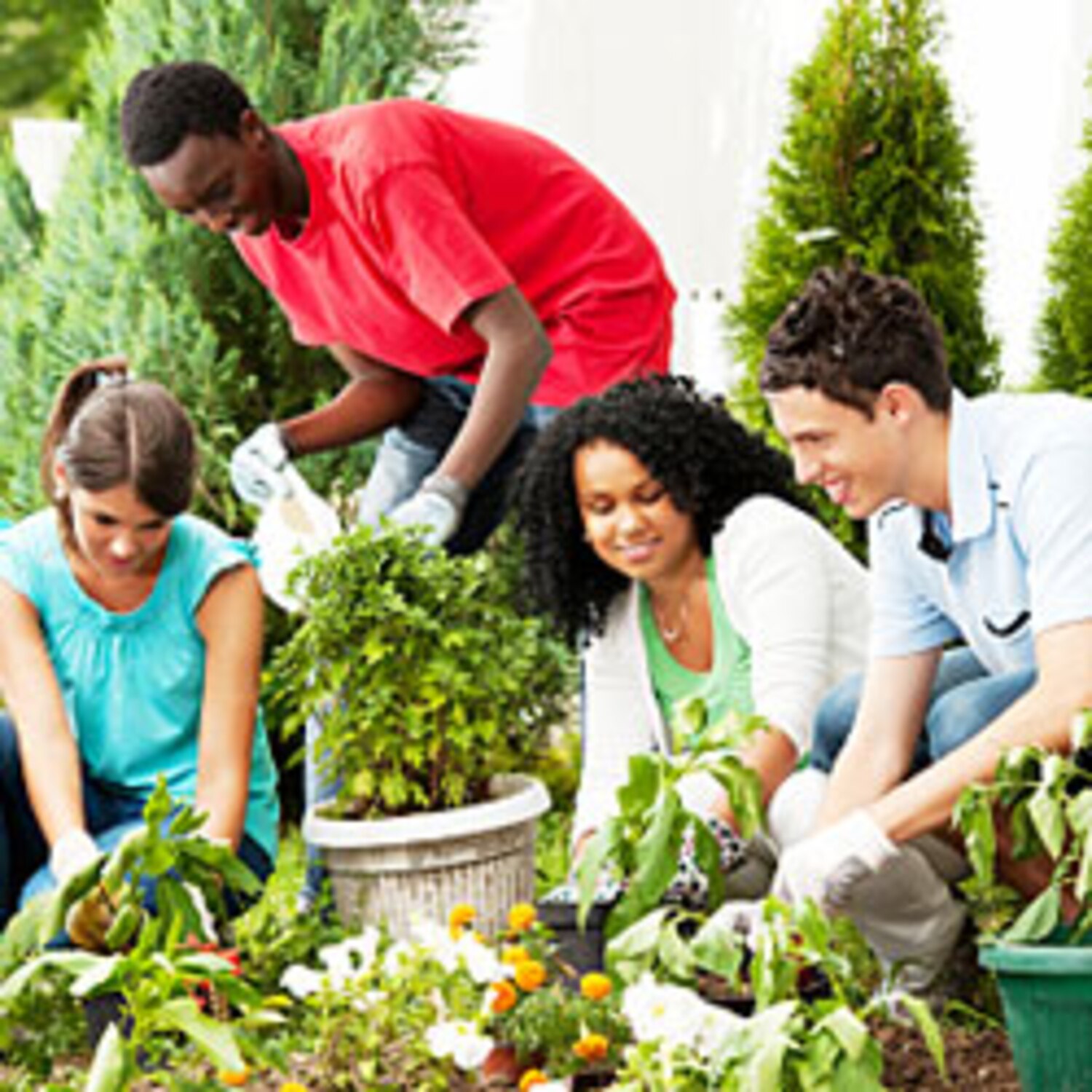 Kidney Failure Prevention:  Simple Steps To A Healthier Life - 3ew40kj