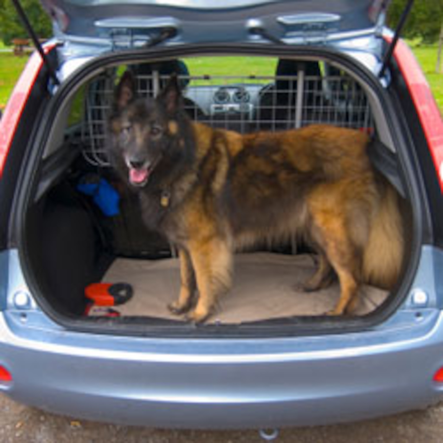 Pet travel How to take your pet on vacation Canadian Living