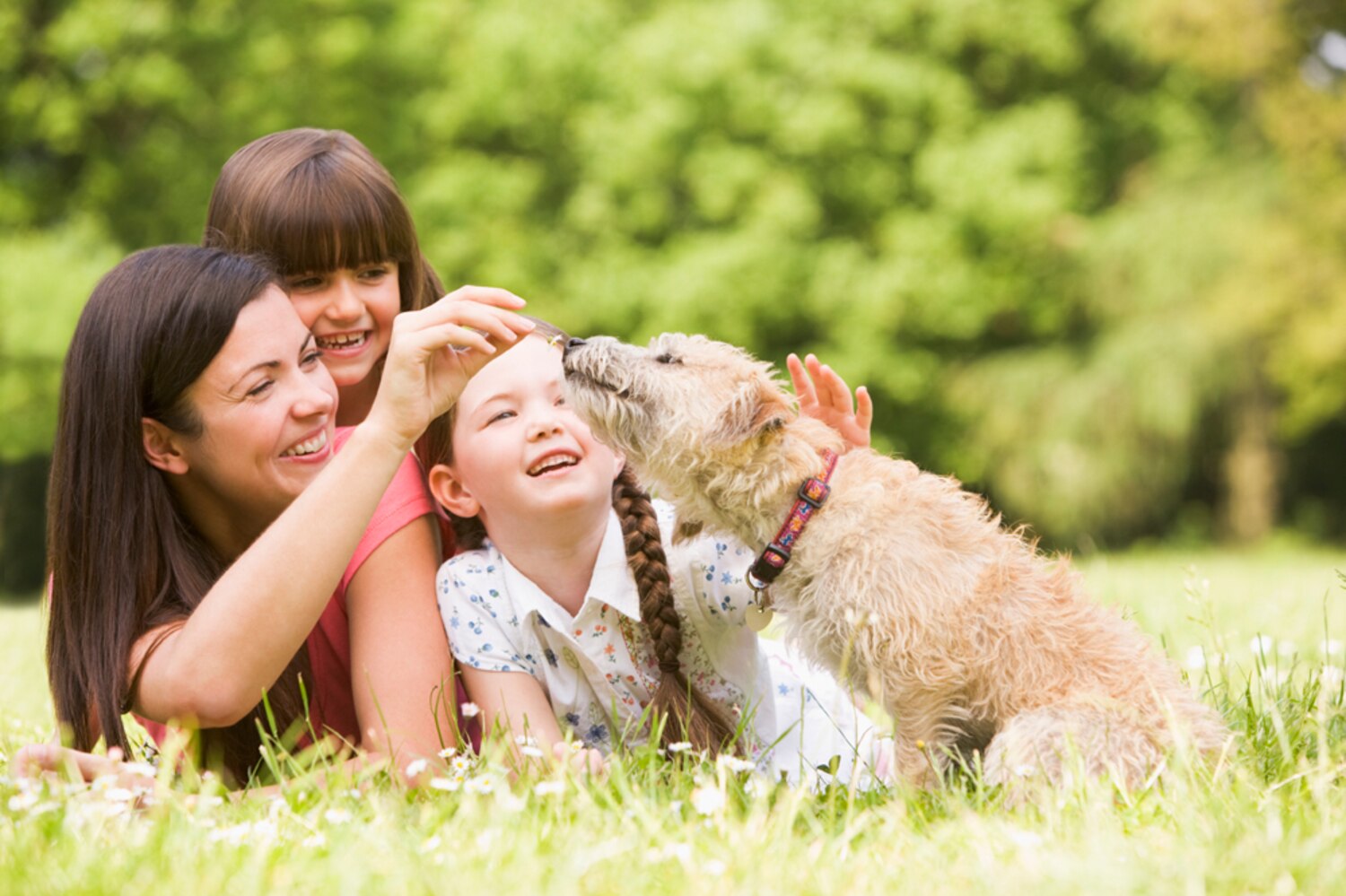 How owning a pet is good for your health Canadian Living