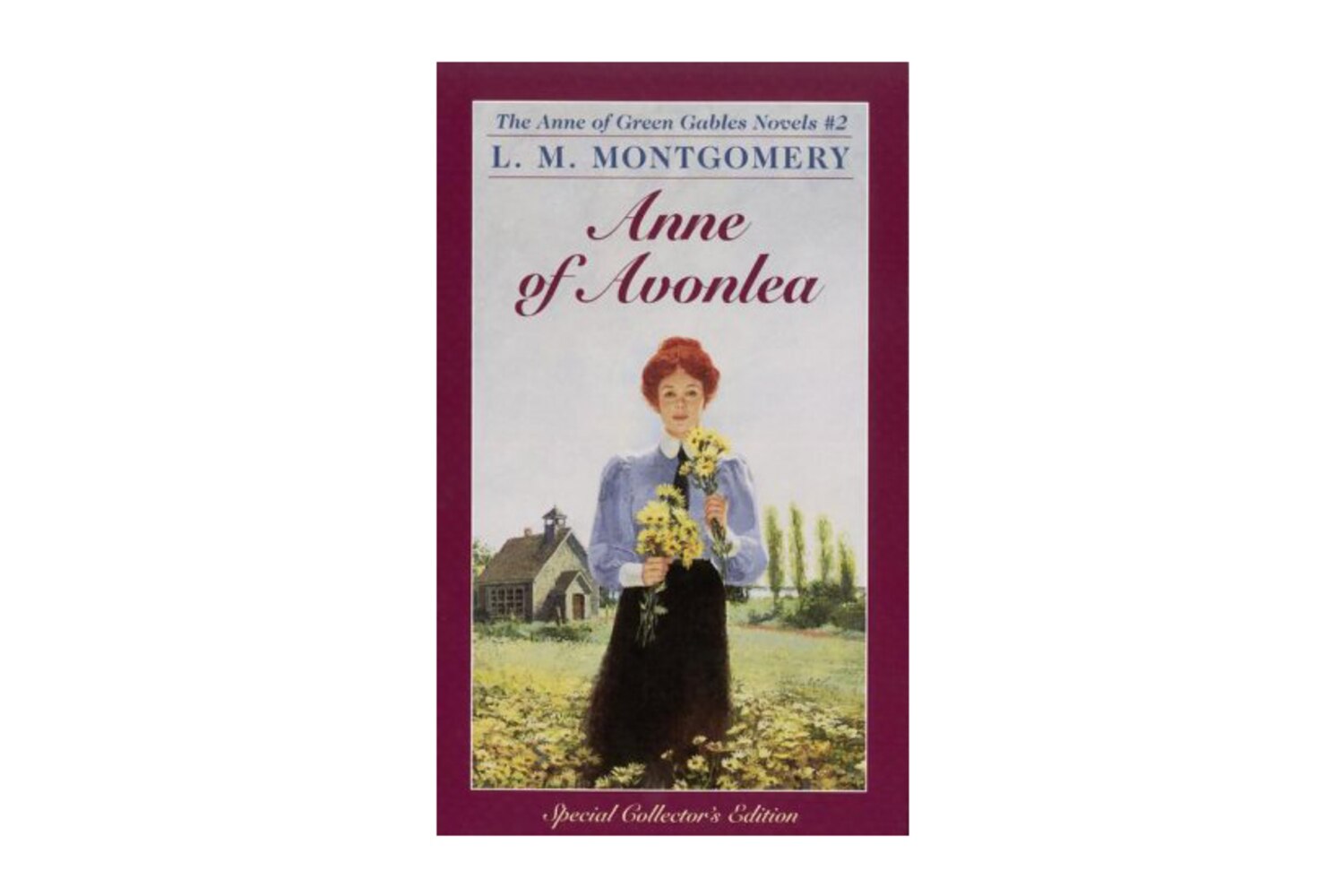 The best Canadian books of all time Canadian Living