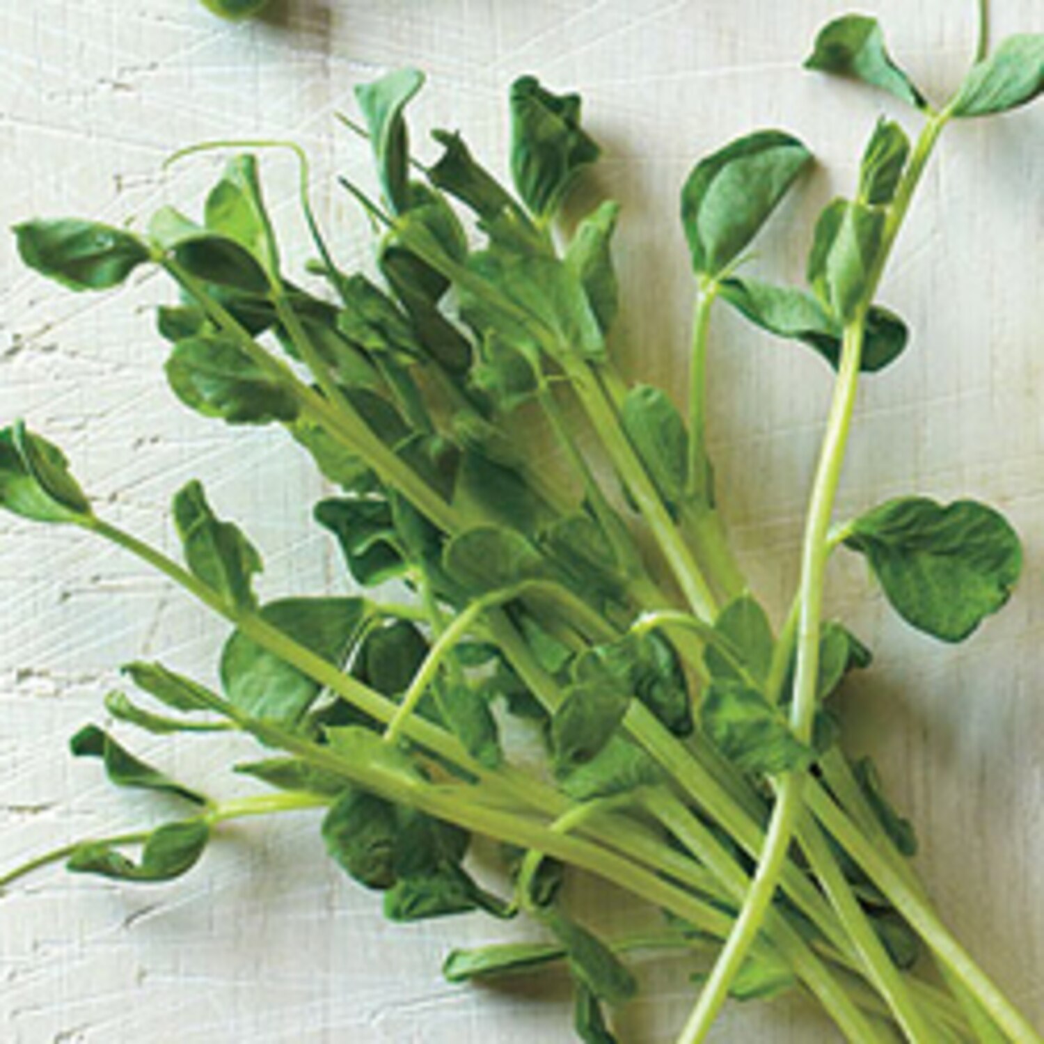 12 tasty sprout recipes Canadian Living