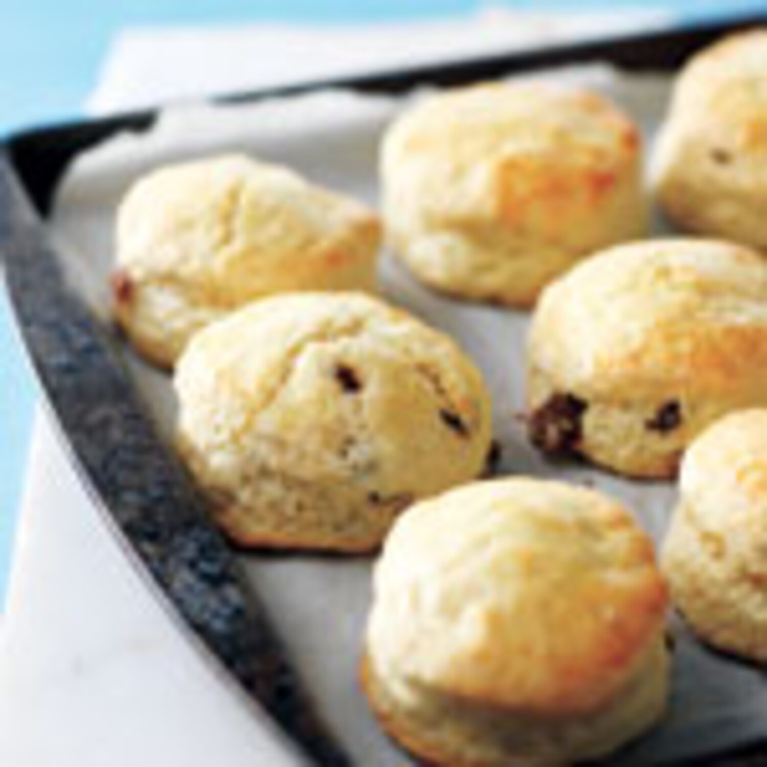 Raisin Scones Canadian Living