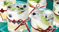 Canadian Mojito, photography by Edward Pond