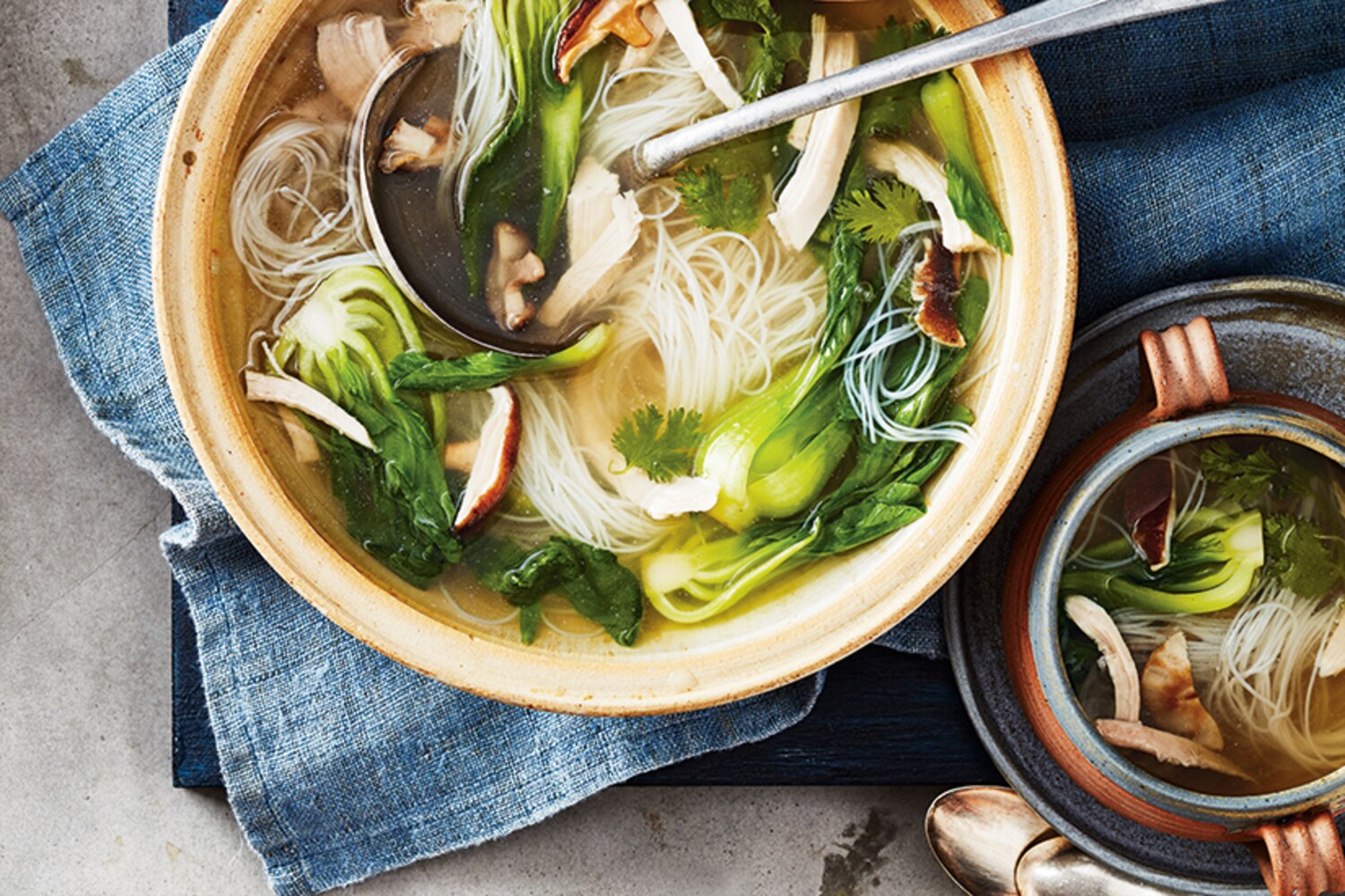 Instant Pot ChineseStyle Chicken Soup Canadian Living