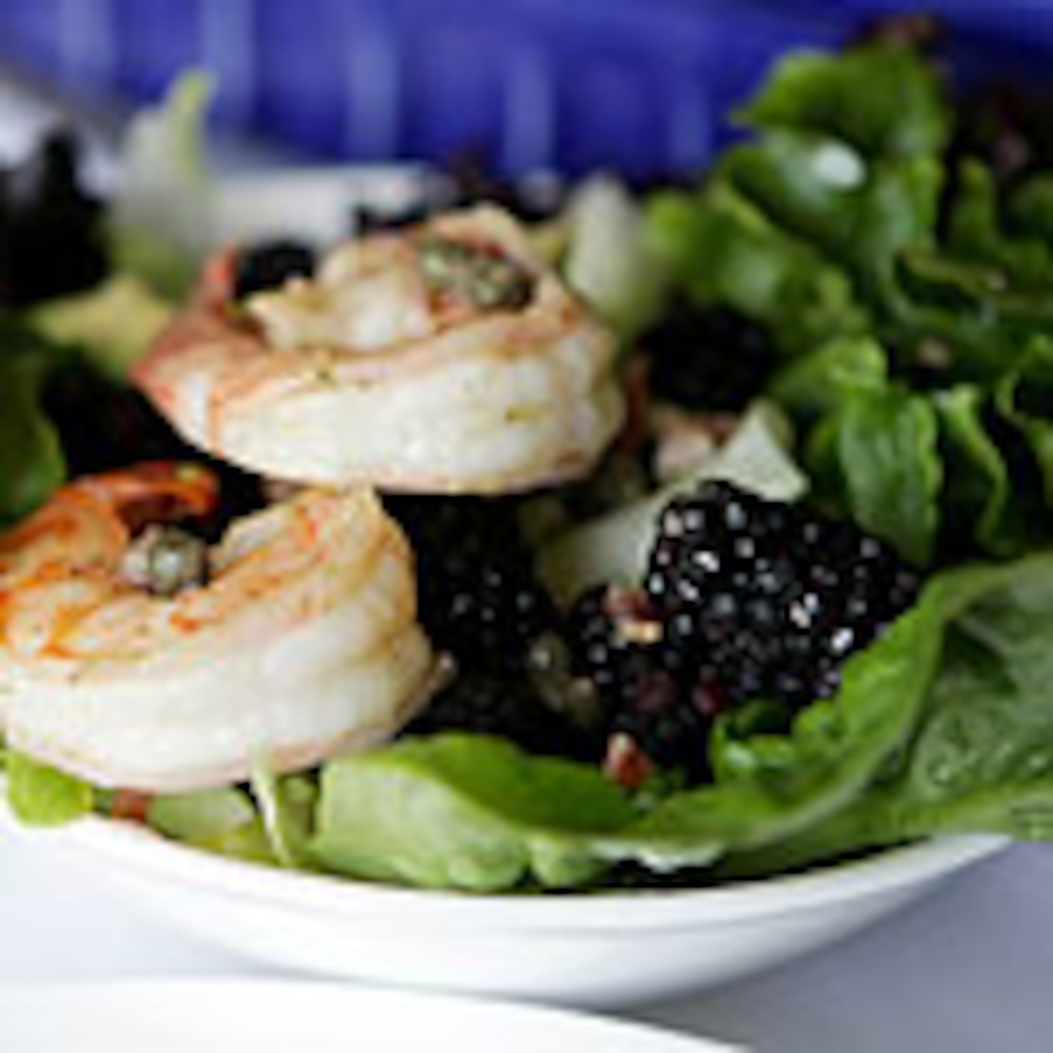 Blackberry, Boston Bibb Salad and Walnut Dressing Canadian Living