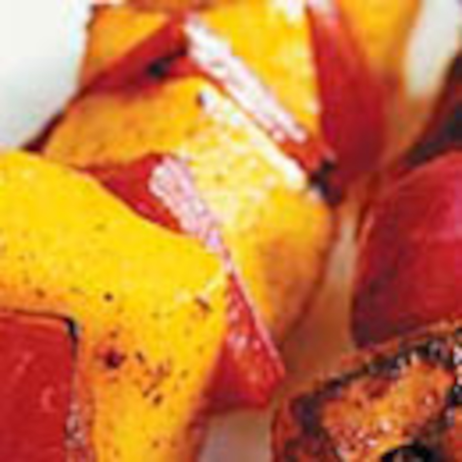 Grilled Chicken and Mango Kabobs Canadian Living