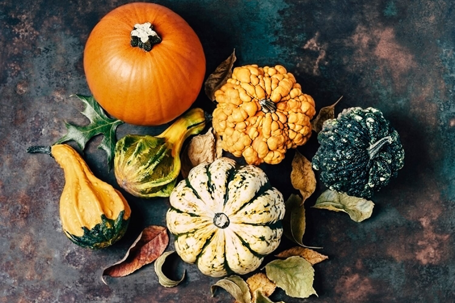 5 Types of Squash & How to Cook Them Canadian Living