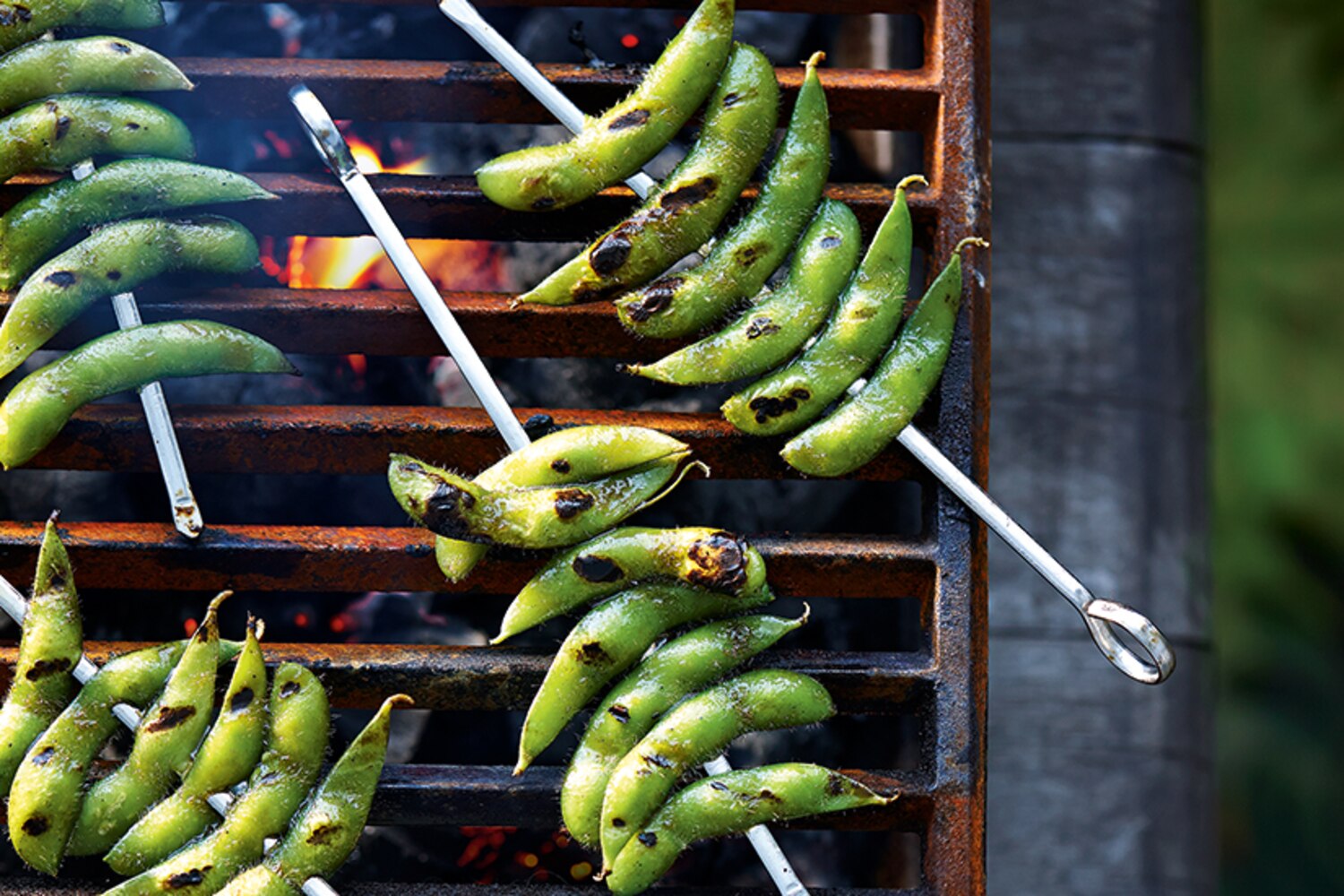 Grilled Sesame Edamame Canadian Living