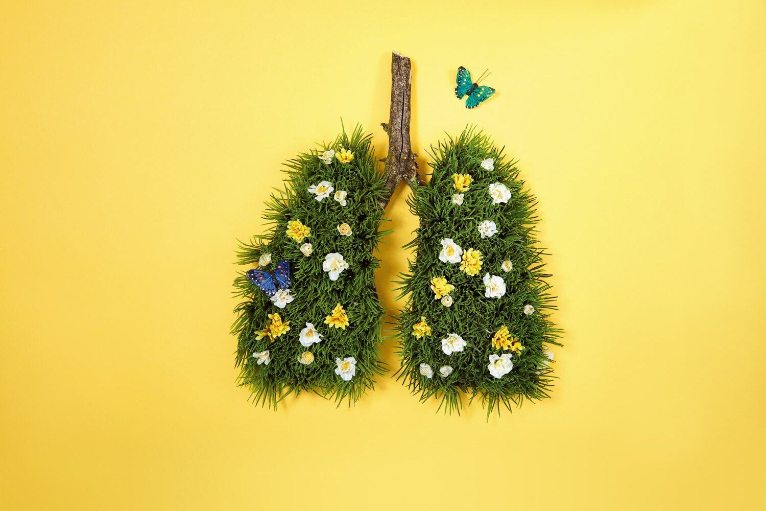 how-to-improve-your-lung-health-canadian-living