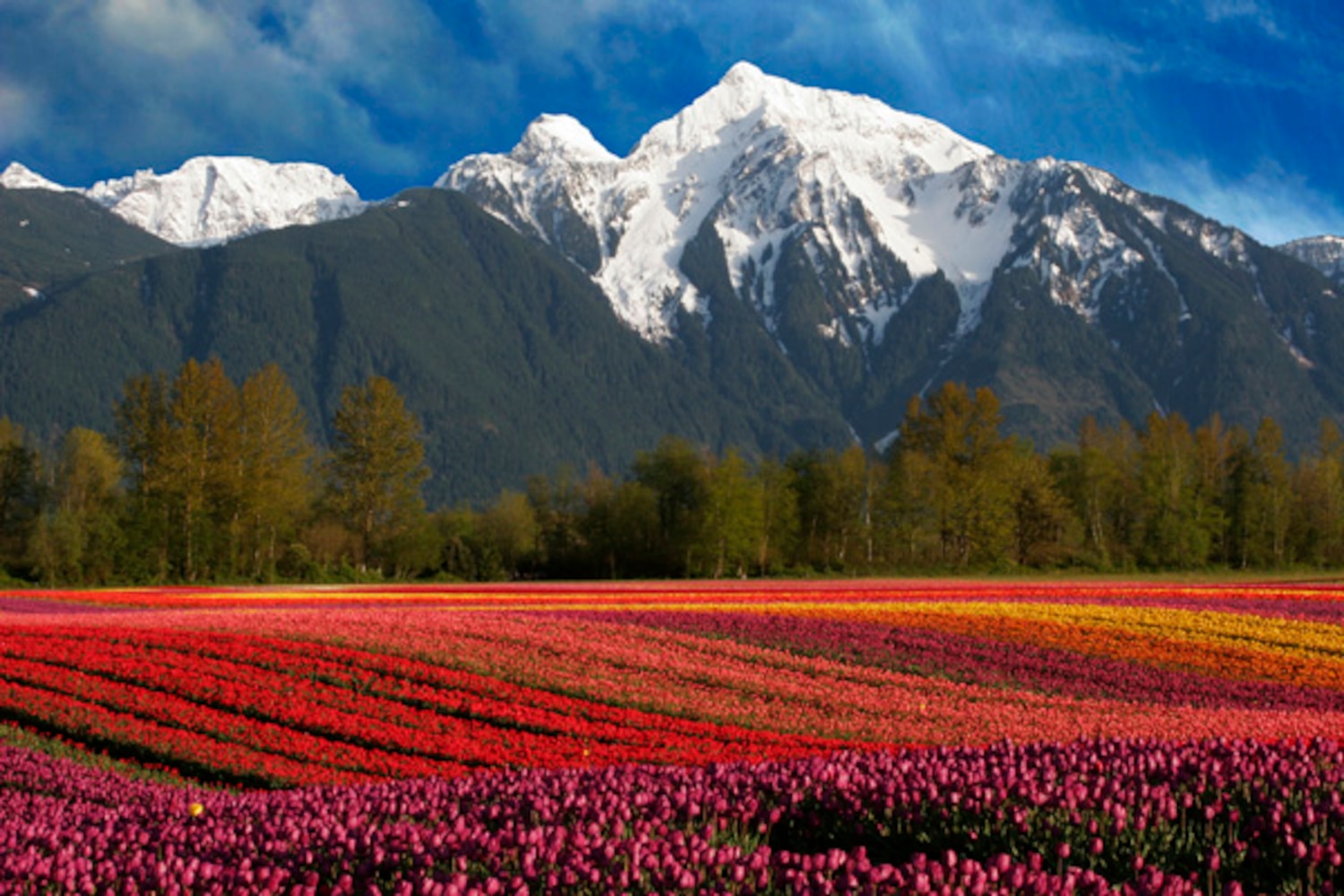 Our Canada Agassiz, B.C. Canadian Living