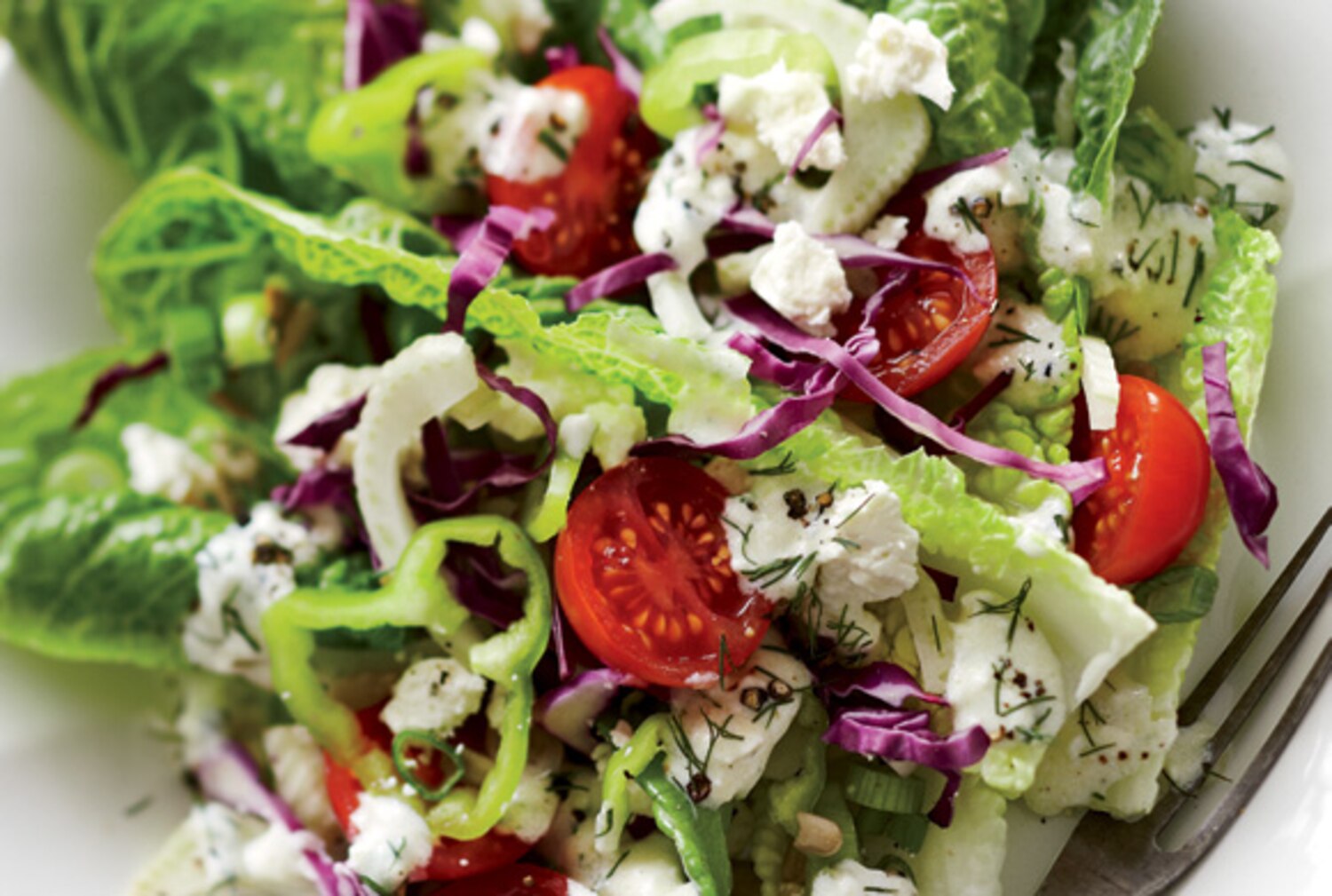 Romaine and Cabbage Salad With Greek Yogurt Dressing Canadian Living