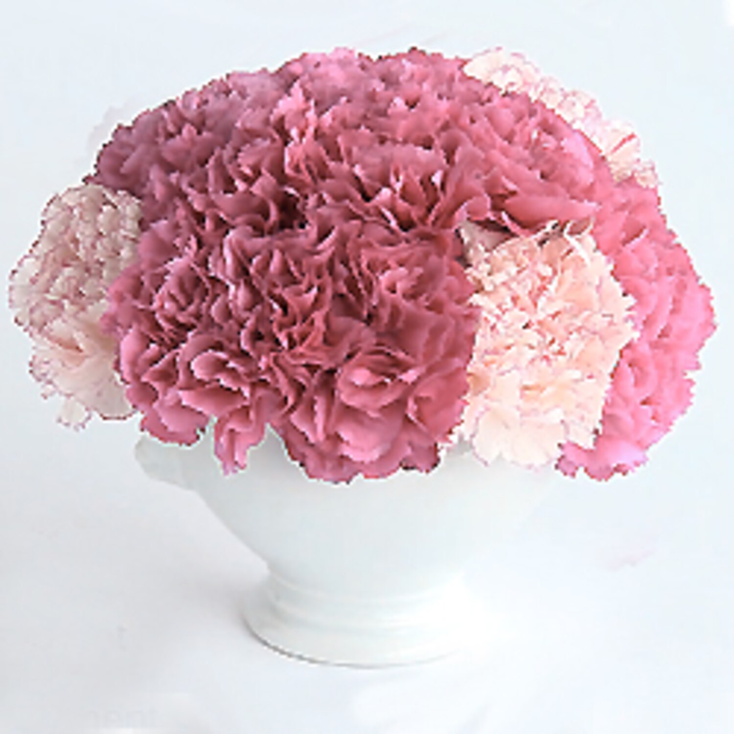 Video How to transform storebought carnations Canadian Living