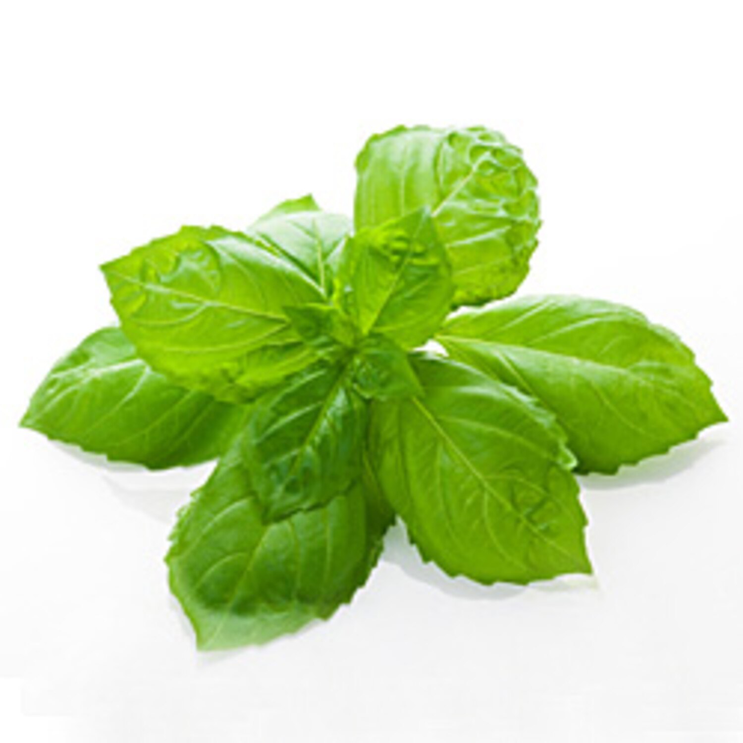 3 health benefits of basil Canadian Living