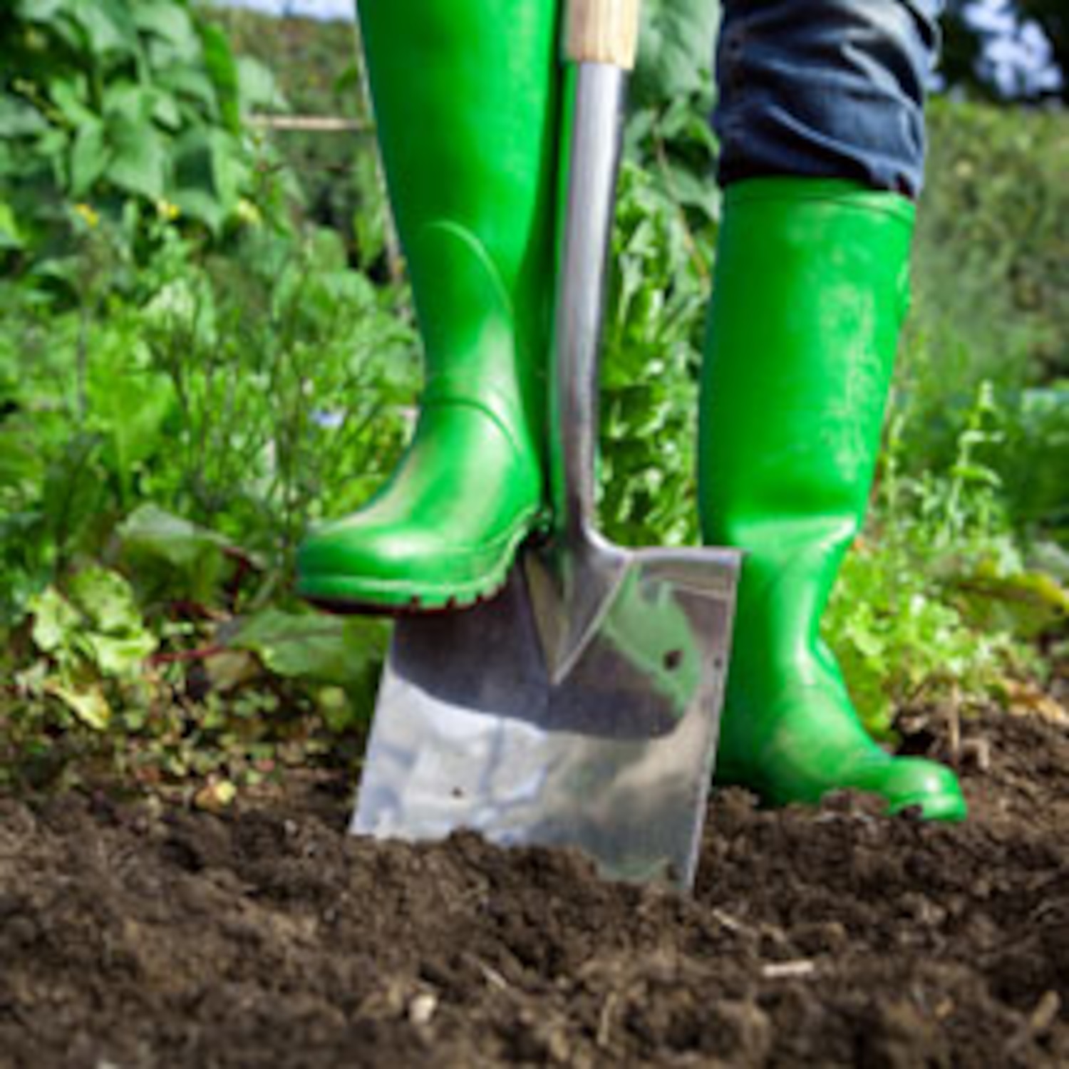 How to amend garden soil for next season Canadian Living