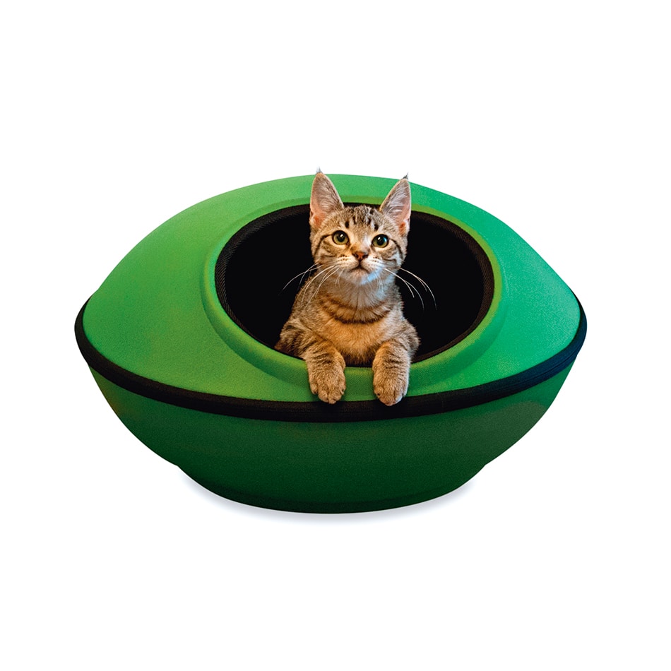 6 stylish pet beds Canadian Living