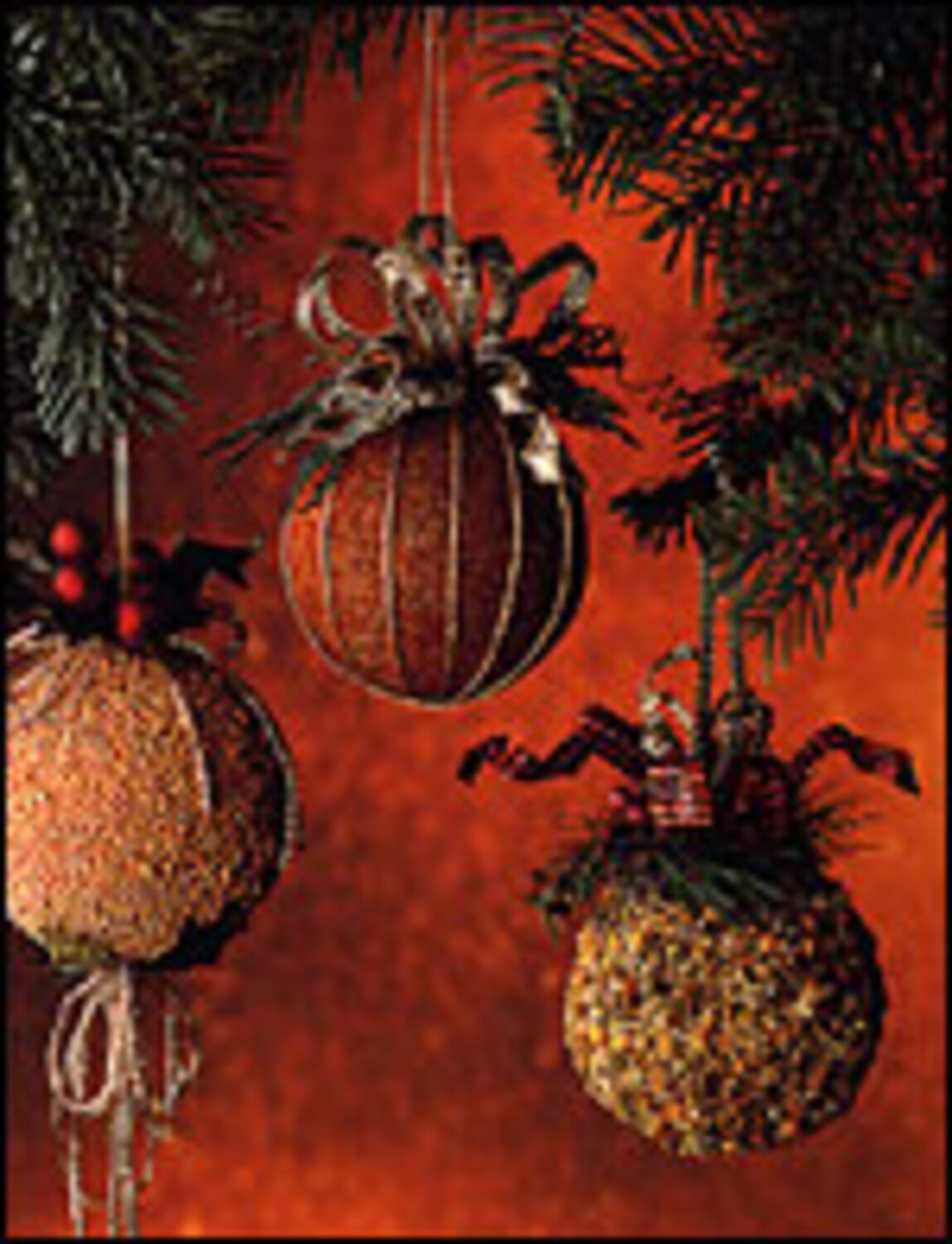 How to make a spice ornament Canadian Living