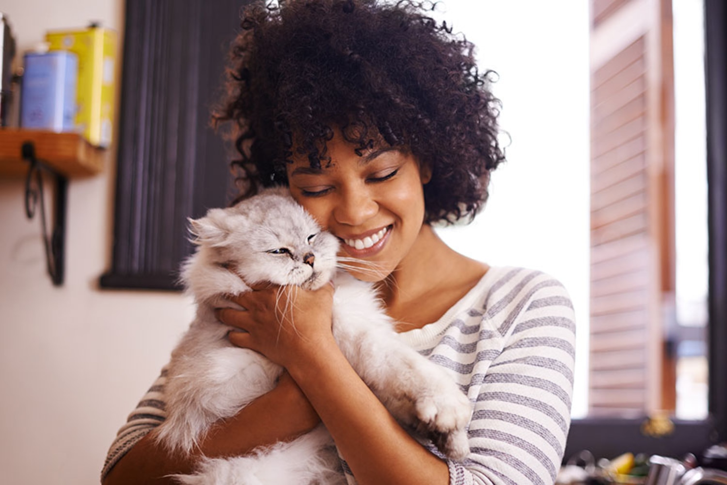 Why owning a cat is good for you Canadian Living