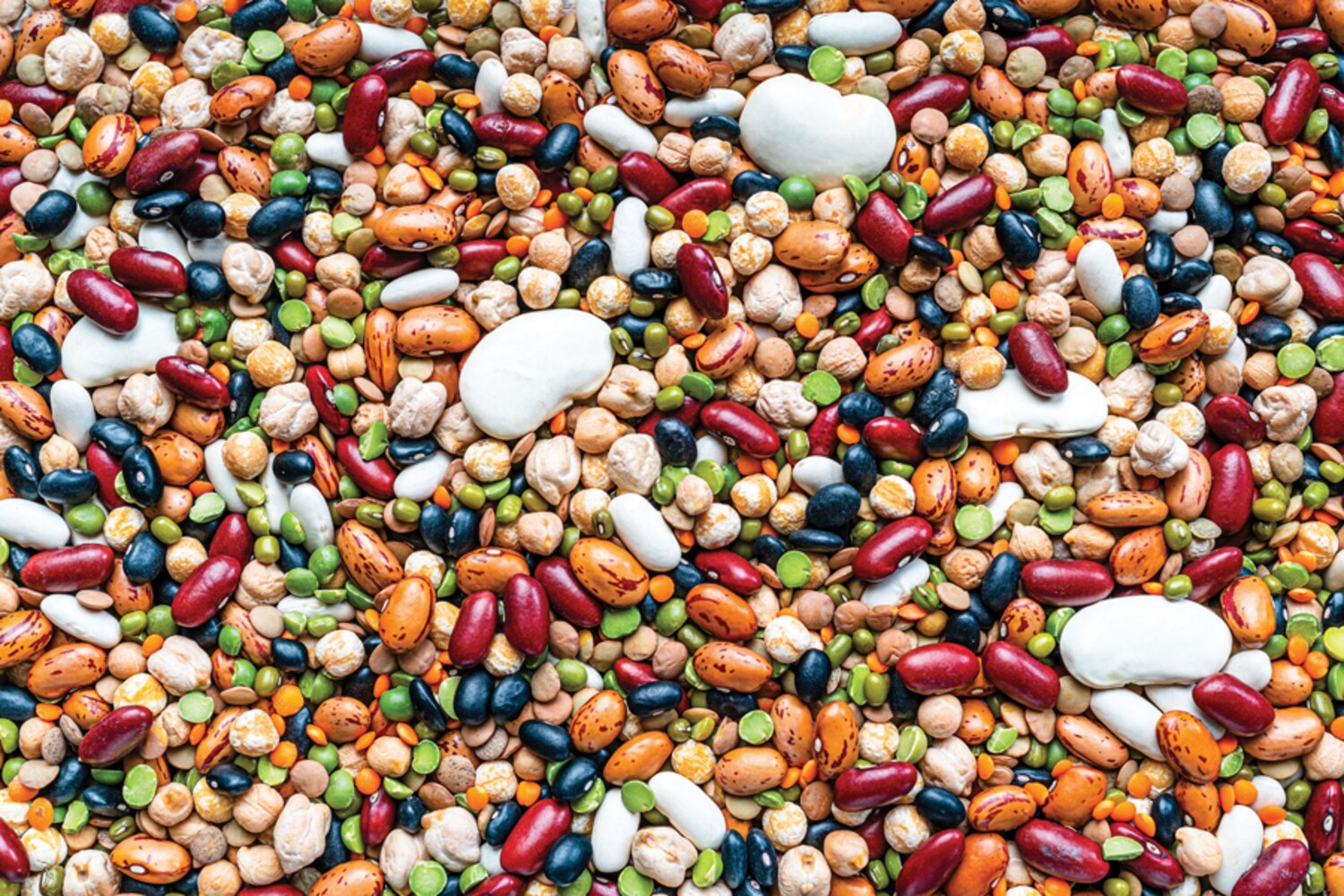 How to Add pulses To your Diet Canadian Living