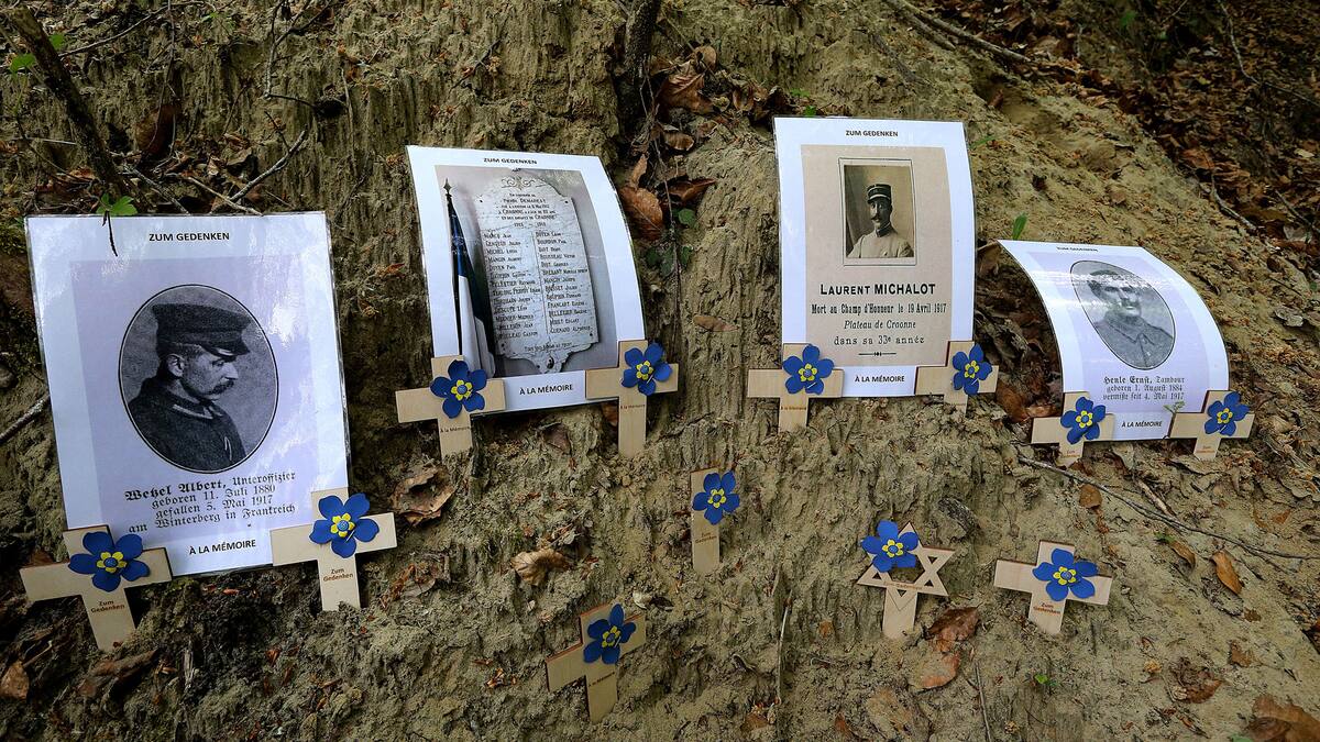Soldats allemands emmurés en 1917: une cavité du «tunnel de Winterberg» identifiée