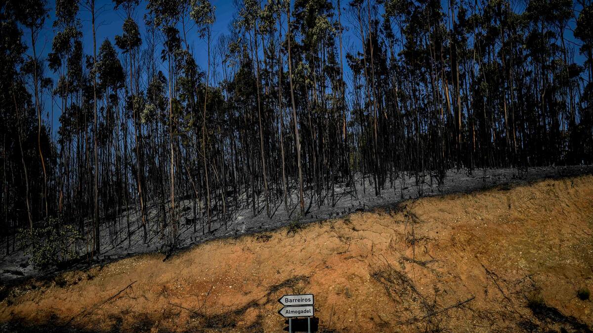 Sécheresse: la moitié du territoire de l'Europe «à risque»