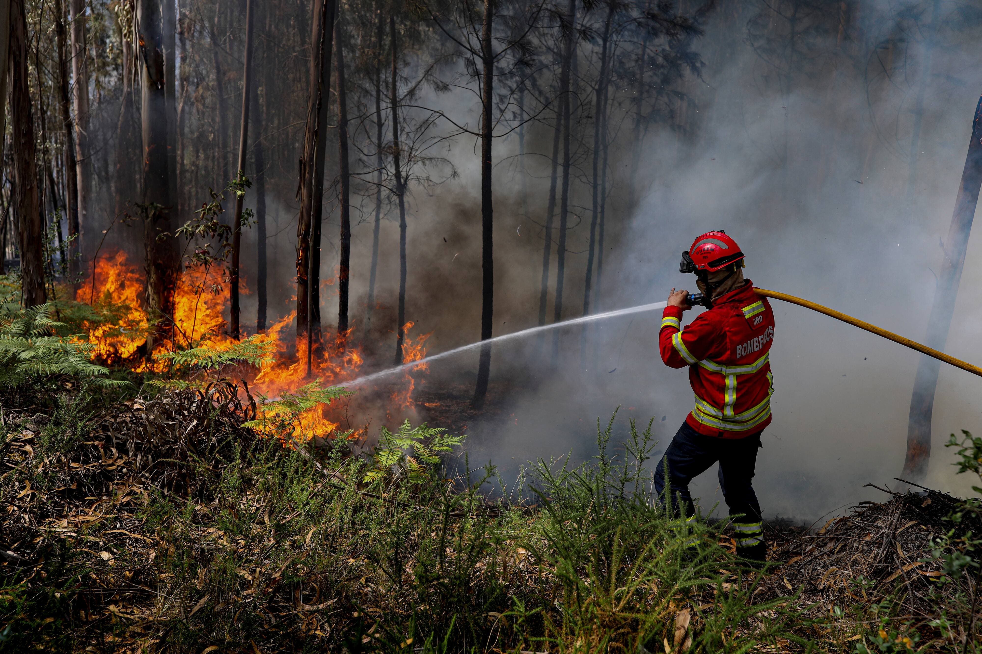 Un journaliste portugais traverse un incendie en pleine autoroute
